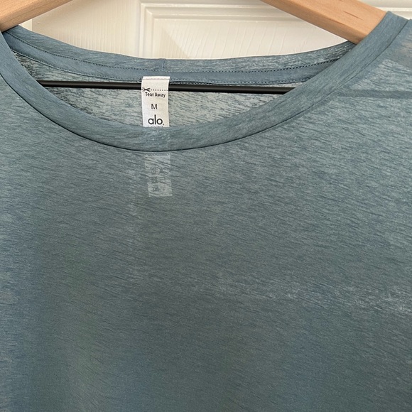 Alo Lithe Sheer Long Sleeve - Picture 2 of 5